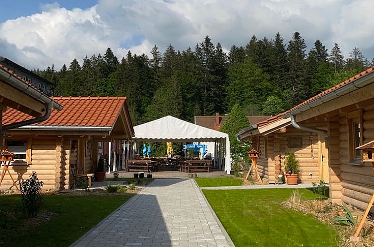 Vakantiehuis in Regenhütte
