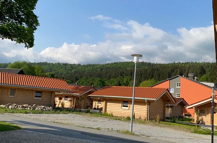 Vakantiehuis in Regenhütte
