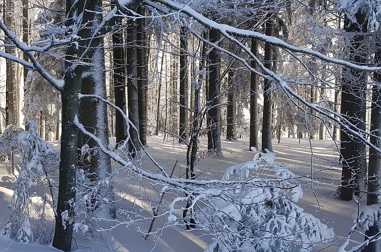 Appartement Charmante Wohnung in Langfurth mit Kleinem Balko