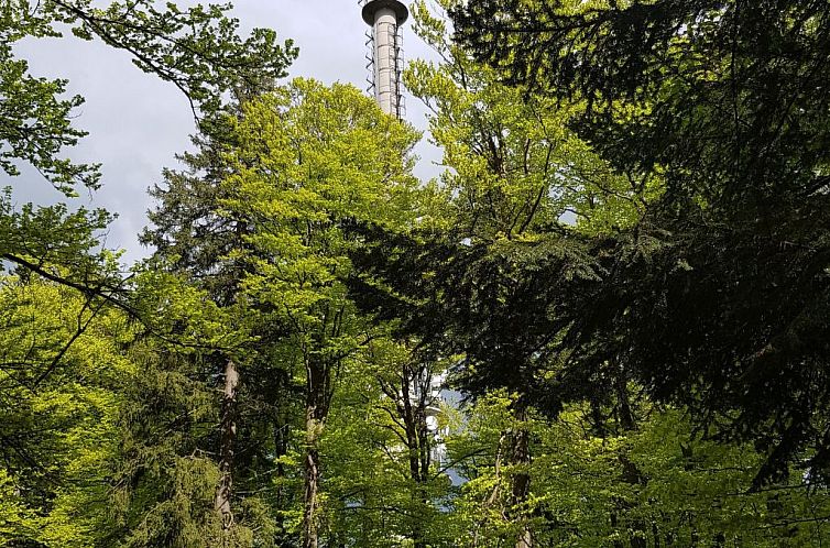 Appartement Charmante Wohnung in Langfurth mit Kleinem Balko