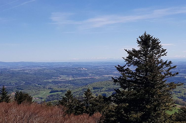 Appartement Charmante Wohnung in Langfurth mit Kleinem Balko