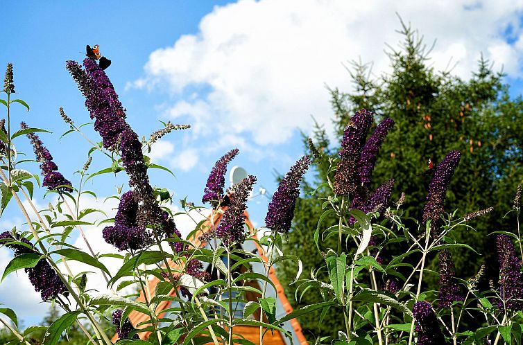 Vakantiehuis in Waldkirchen mit Garten und Seeblick
