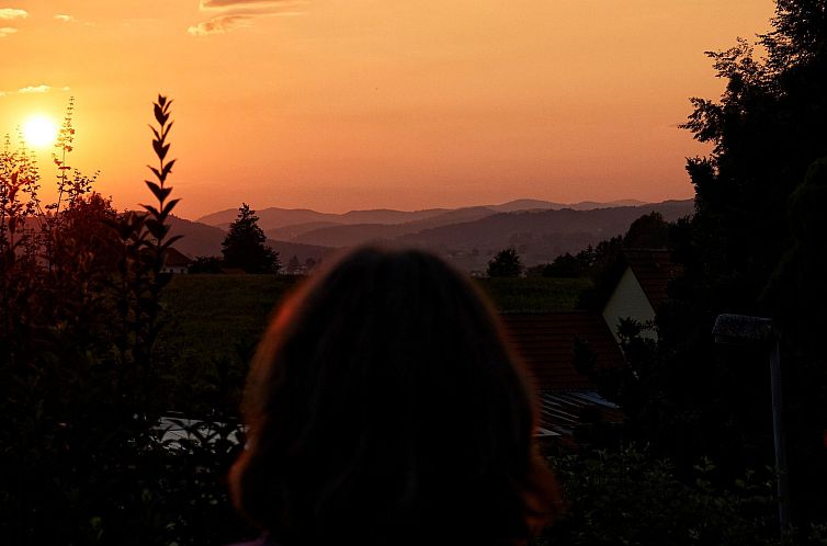 Vakantiehuis in Waldkirchen mit Garten und Seeblick