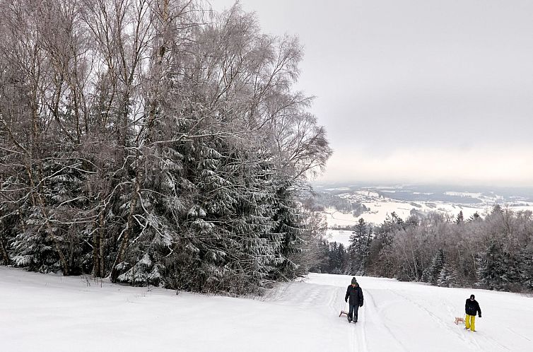 Vakantiehuis in Waldkirchen mit Garten und Seeblick