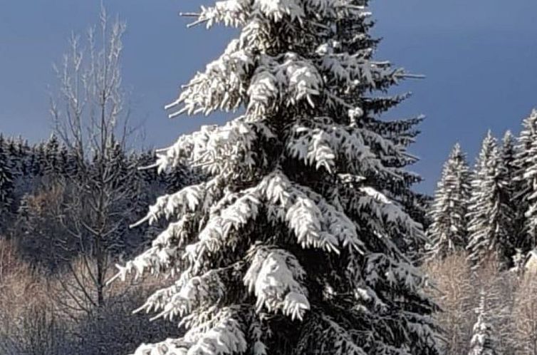 Vakantiehuis Haus am See mit Fasssauna, Liegewiese und Grill