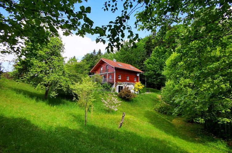 Vakantiehuis in Waldkirchen