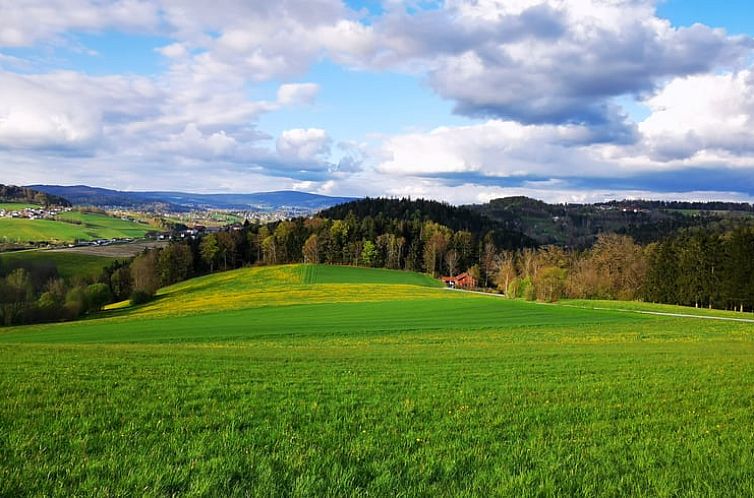 Vakantiehuis in Waldkirchen