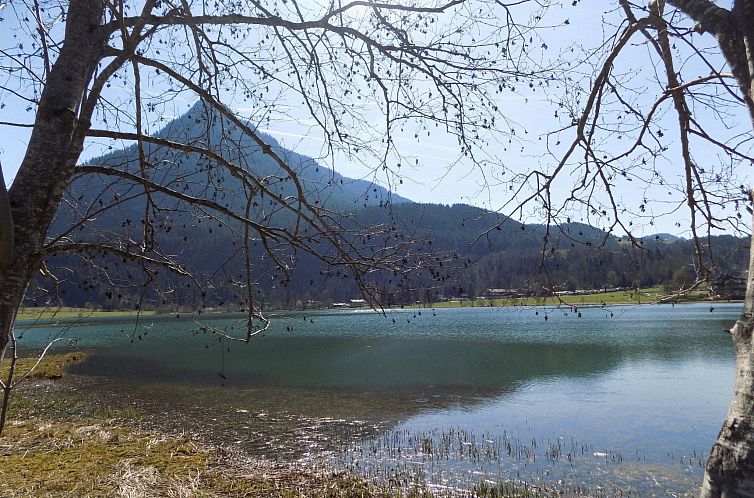 Appartement Bergschlössl in Oberaudorf