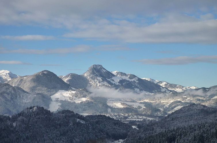 Appartement Bergschlössl in Oberaudorf