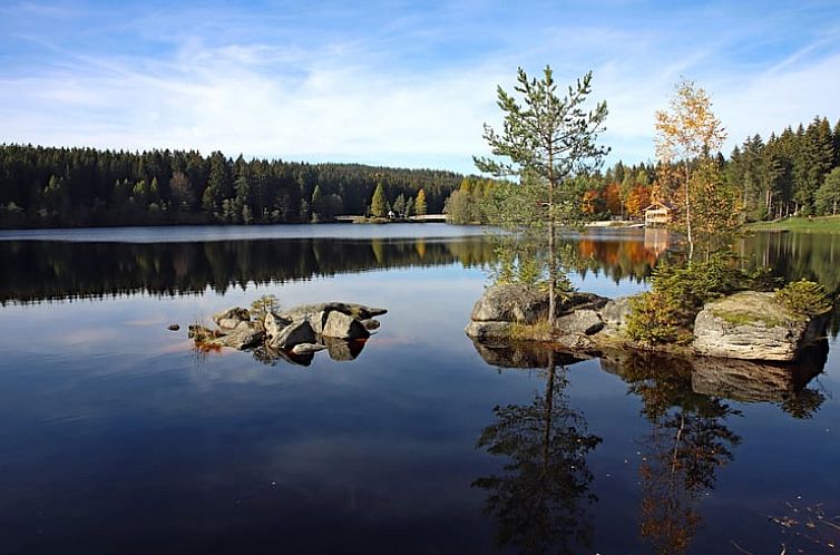 Huisje in Schönwald