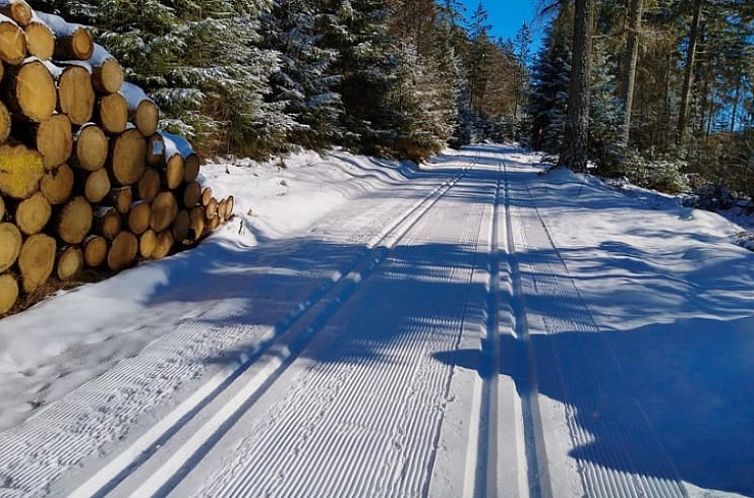 Vakantiehuis in Schönwald