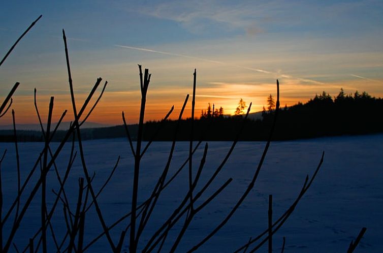 Huisje in Schönwald