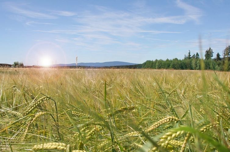 Huisje in Schönwald