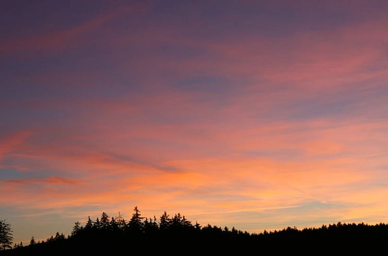 Huisje in Schönwald