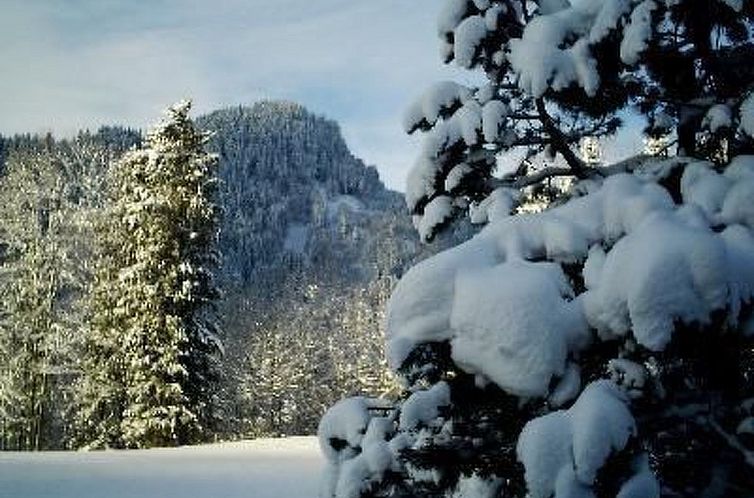 Appartement Falkenberg Wh 211