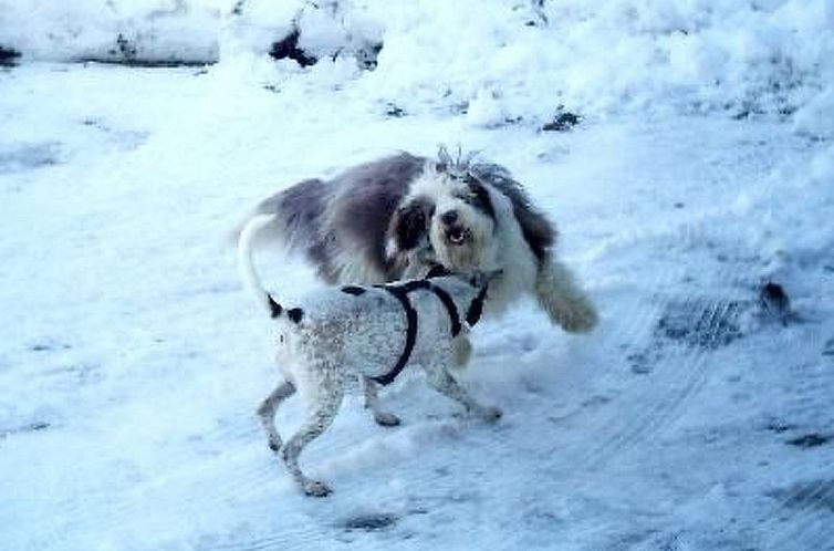 Appartement Falkenberg Wh 211