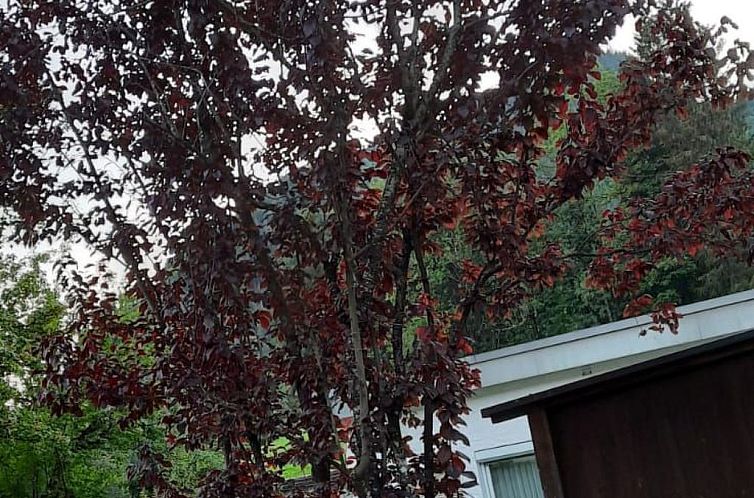 Appartement Sport Alpin Wh 10