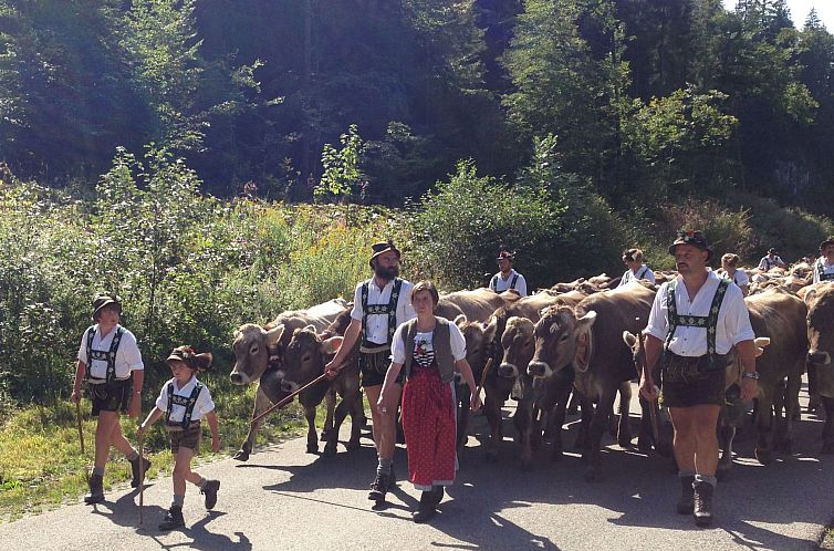 Appartement Sport Alpin Wh 130