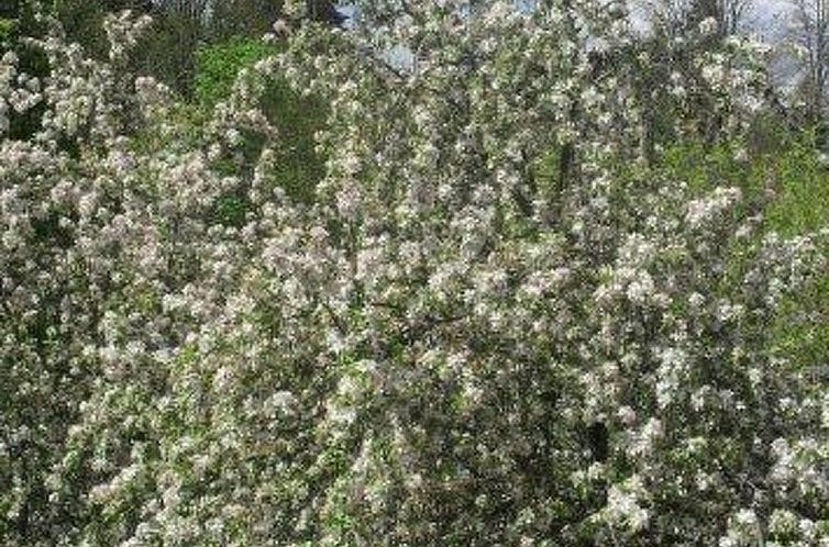 Appartement Sport Alpin Wh 130