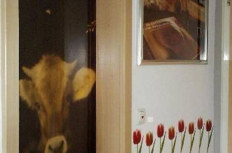 Appartement Falkenhorst Wh 41