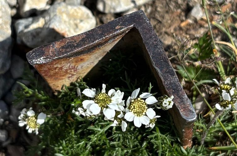 Appartement Haus Rosenwirth