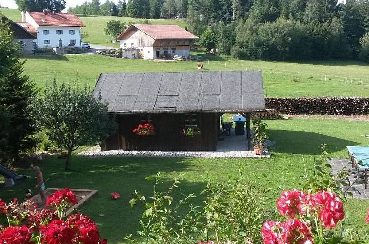 Appartement FeWo Steinbeisser