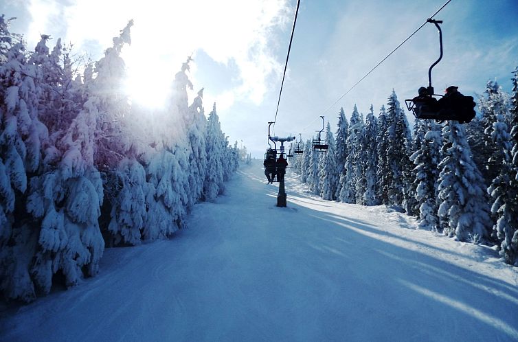 Appartement Franzi 3