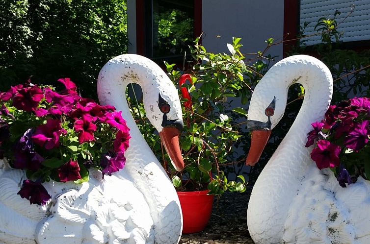 Appartement App in Brunn