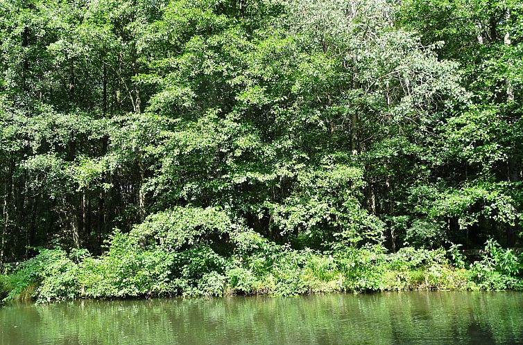 Vakantiehuis Haus Victoria