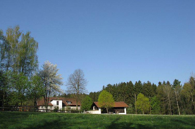 Vakantiehuis Haus Victoria