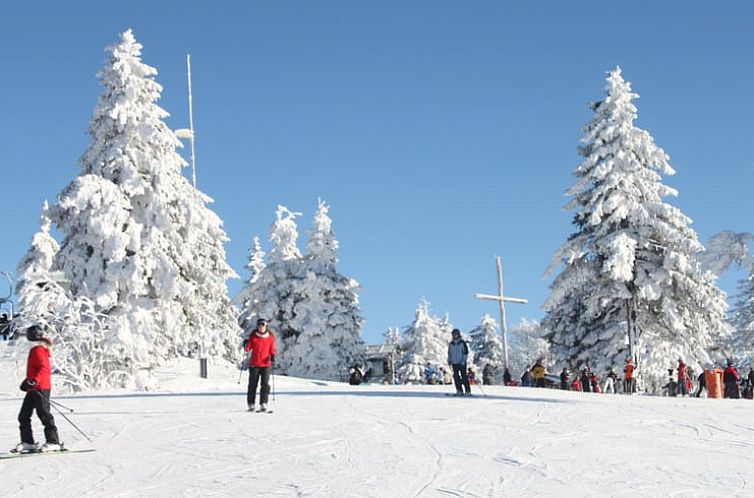 Vakantiehuisje in Freyung
