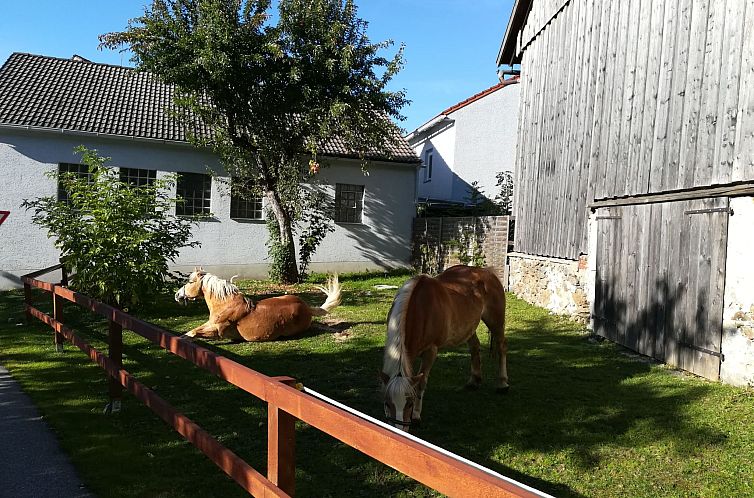 Appartement Typ B