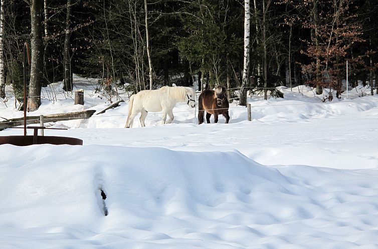 Vakantiehuis Billerhof