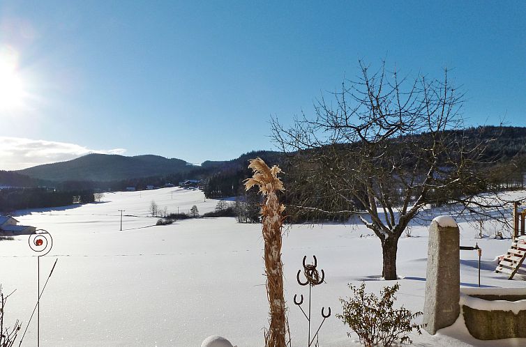 Appartement Freisinger