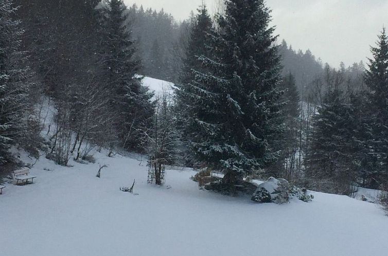 Appartement in Frauenberg mit Garten