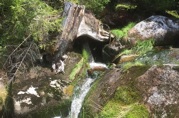 Appartement in Frauenberg mit Garten