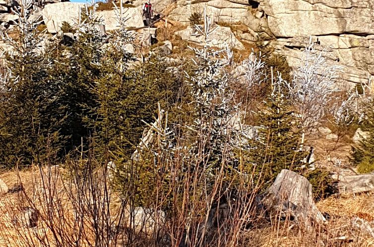 Appartement Haus Moni