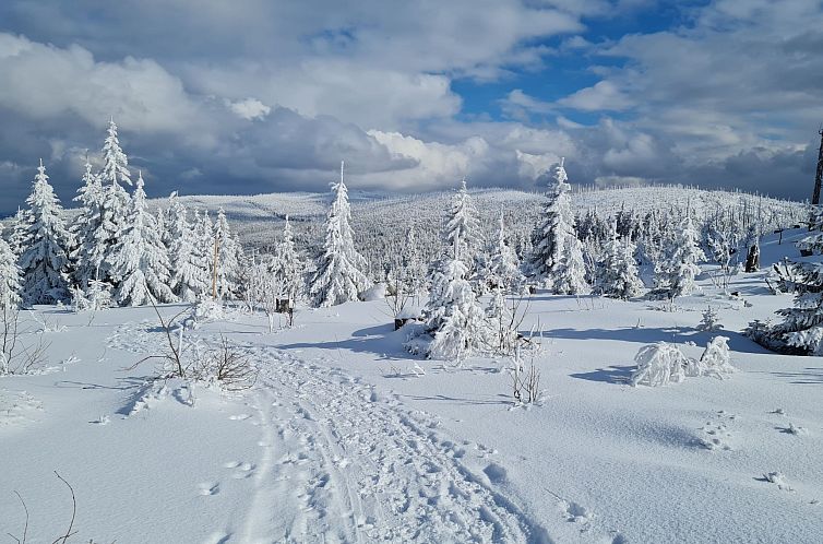 Appartement Haus Moni