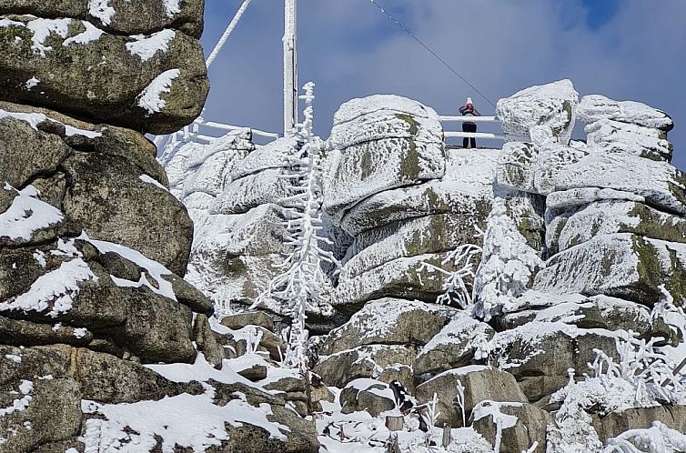 Appartement Haus Moni