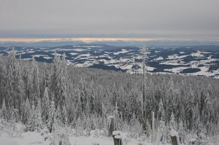 Appartement Birkenhain