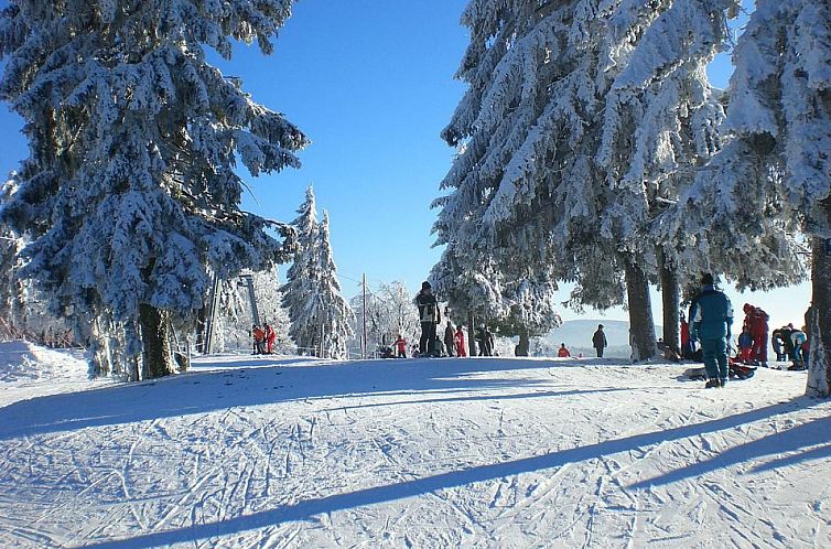 Appartement Birkenhain