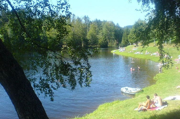 Appartement Birkenhain