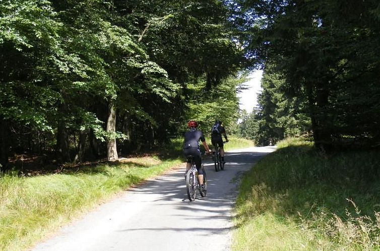 Appartement Birkenhain