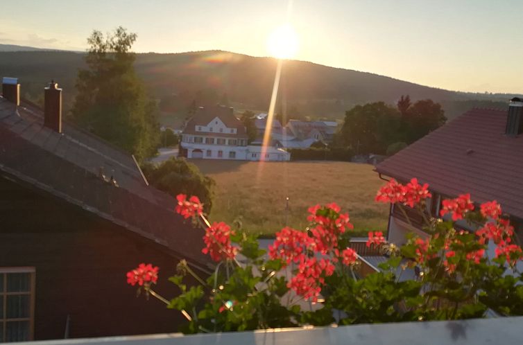 Vakantiehuis in Haidmühle mit Großem Garten