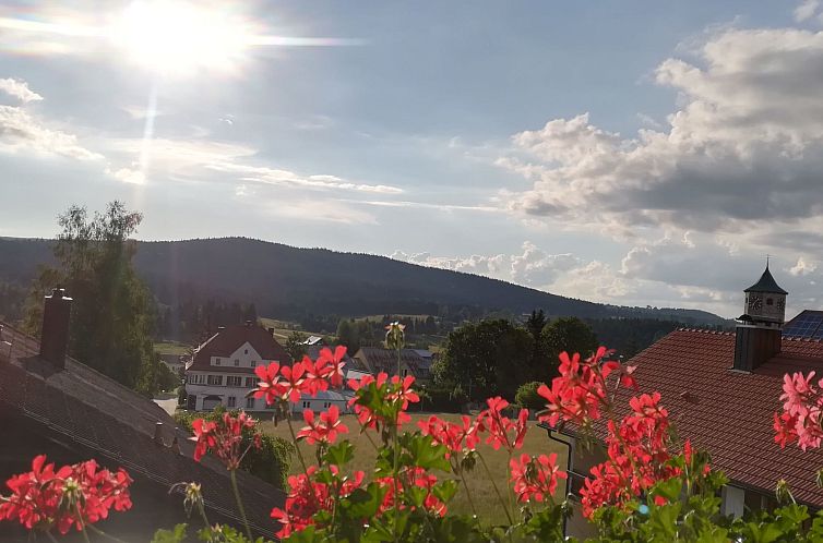 Appartement mit großer Dachterrasse