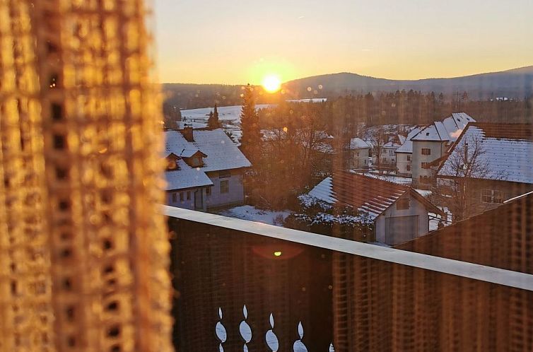 Appartement mit großer Dachterrasse