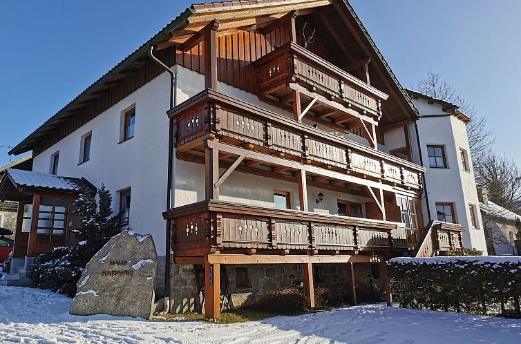 Appartement in Ludwigsreut mit Terrasse, Garten und Grill