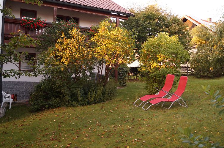 Appartement in Ludwigsreut mit Terrasse, Garten und Grill