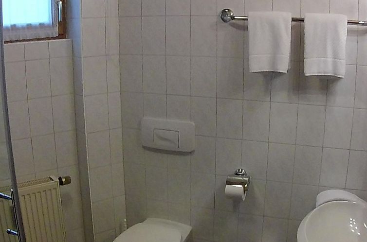 Appartement Wohnung in Ludwigsreut mit Grill und Garten