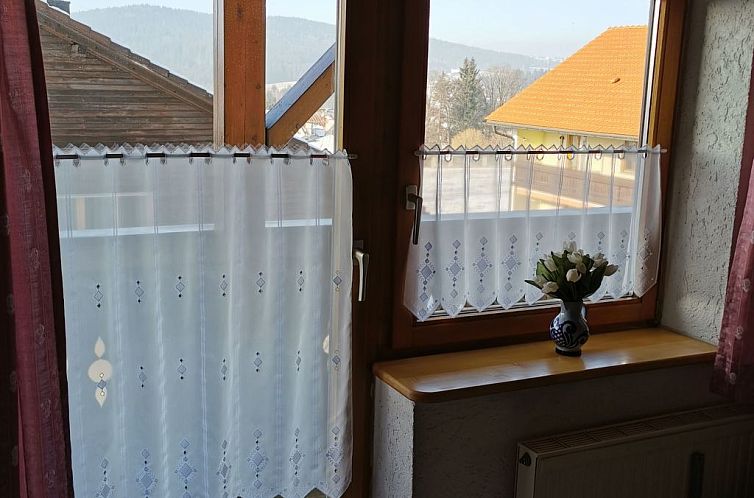 Appartement mit komplett eingerichteter Küchenzeile im Wohn